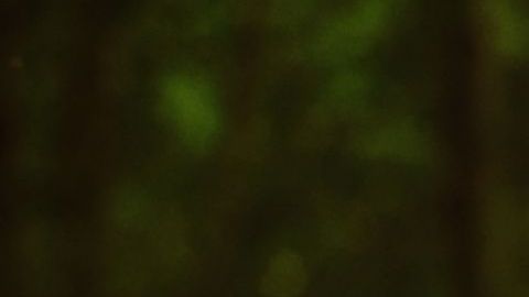 shutterstock_284871191