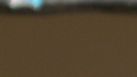 El hombre le pidió perdón a los pájaros por quitarles su libertad.