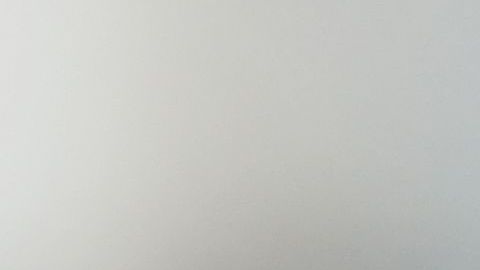 shutterstock_534963766