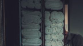 shutterstock_573810169