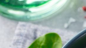 sopa verde de espinacas