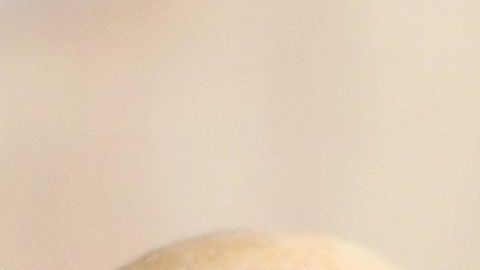 shutterstock_720267616