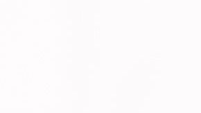 shutterstock_736138987