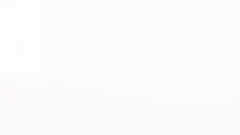 shutterstock_736138987