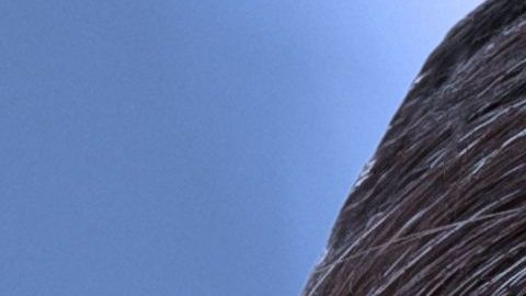 shutterstock_742328737