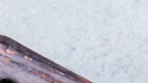 shutterstock_747019105