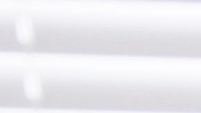 shutterstock_762118330