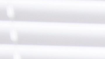 shutterstock_762118330