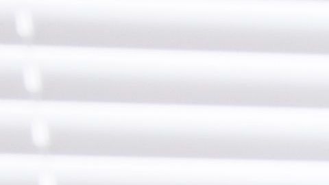 shutterstock_762118330