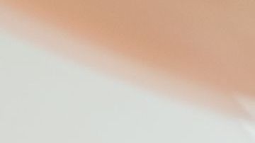 shutterstock_767179873