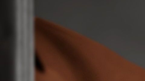 Había algo importante por lo que quería ir a prisión.