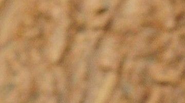 shutterstock_91447619