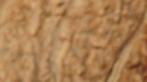 shutterstock_91447619