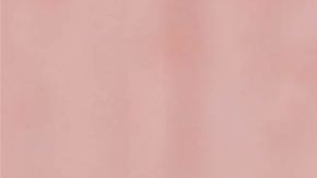 La despensa ofrece alimentos gratuitos muy necesarios a las familias de sus 2,500 estudiantes y al personal de la escuela.