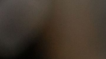 Los turistas tuvieron que escribir la frase 500 veces.