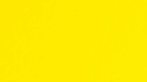 Lo que hace feliz a tu signo.