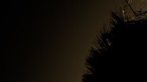 Cuida los detalles y dile a tu pareja lo valioso que es en tu vida.