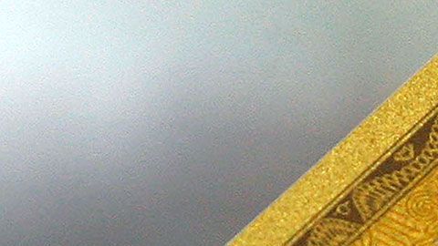 Hay que decir que American Express planea que más tiendas la acepten como forma de pago.