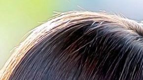 'Te Doy La Vida' de Univision y 'Cennet' de Telemundo.