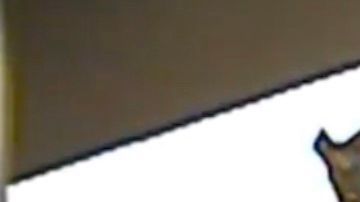 El pianista Thom Carr en una captura de un video publicado en redes.