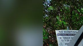 El dinero era de un empresario que tenía varias tiendas de conveniencia.