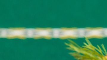 Tiras pollo-pastel100 en Pixabay