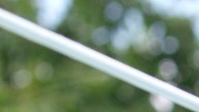 Los juguetes de tela debes lavarlos con agua tibia y tenderlos al aire libre para que se sequen.