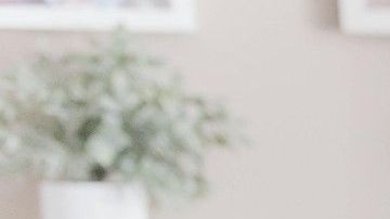 Mantén cierta rutina matutina antes de trabajar para ayudar a tu productividad.