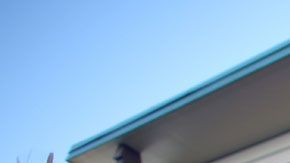 Trader Joe's prefiere invertir su dinero en otros recursos más importantes.