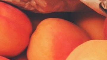 Hay varias opciones fáciles de cultivar.