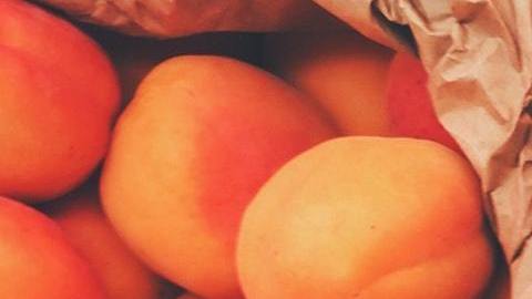 Hay varias opciones fáciles de cultivar.