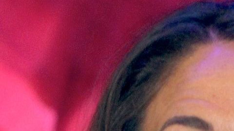 Verónica Castro desmiente haberse casado con Yolanda Andrade / Foto: Mezcalent