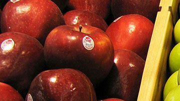 La mujer será presentada a juicio el próximo 13 de mayo.