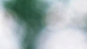 Un joven generó polémica por compartir en sus redes maltrato hacia su mascota