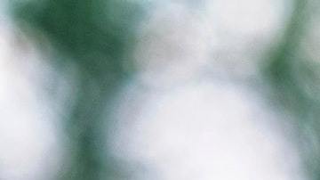 Un joven generó polémica por compartir en sus redes maltrato hacia su mascota