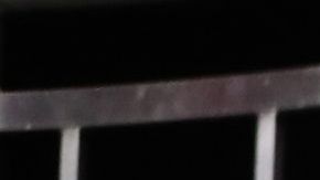 "Gronk" llegó para ser host del evento y terminó como campeón.