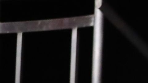 "Gronk" llegó para ser host del evento y terminó como campeón.