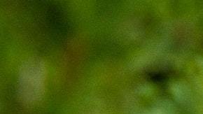 Cada signo tiene un placer diferente.