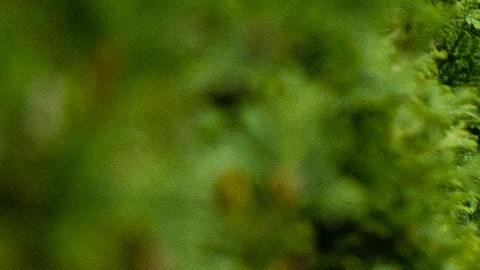 Cada signo tiene un placer diferente.