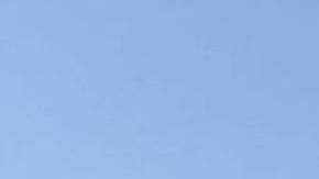 Los cruceros Zaandam y Rotterdam ya atracaron en Puerto Everglades, al norte de Miami.