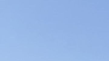 Los cruceros Zaandam y Rotterdam ya atracaron en Puerto Everglades, al norte de Miami.