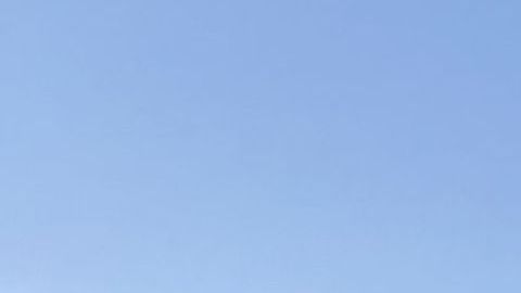 Los cruceros Zaandam y Rotterdam ya atracaron en Puerto Everglades, al norte de Miami.