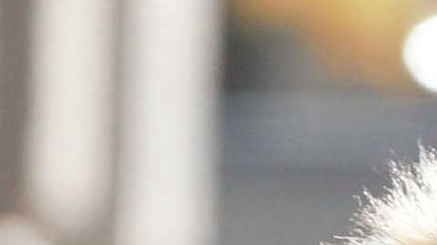 Las temperaturas han bajado hoy Martes 5 de Enero en la Gran Manzana.
Foto Credito: Mariela Lombard / El Diario.