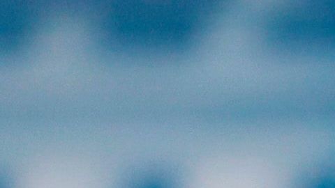 El presidente minimizó al principio la crisis que se aproximaba.