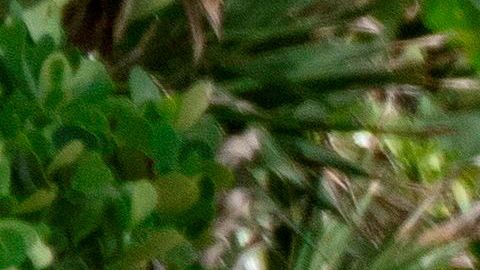 La gente visita el South Pointe Park después de la reapertura de los parques en Miami Beach, Florida.