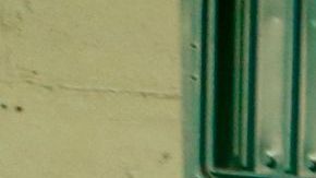 Gualterio Santos está feliz porque ya va a poder a comenzar a vender sus flores.(Aurelia Ventura/La Opinion)