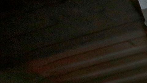 ( (Izq-Der) Lisa Delgado, Amy Francisco y Armi Sandoval son mujeres que estudian mecánica en el colegio LATTC. (Aurelia Ventura/ La Opinion)