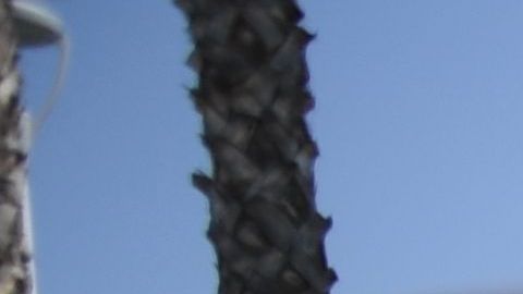 El apoyo se destinó a 2 mil familias de la región.