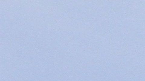 Hispanos en el area de Westchester, NY piden mas seguridad para los indocumentados.