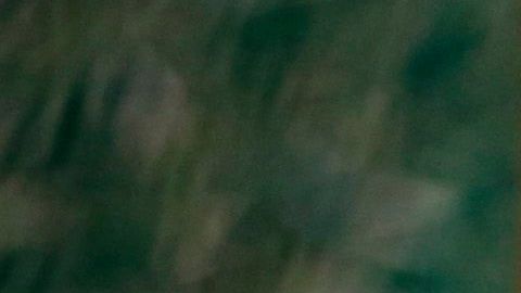 Kim no acudió a la tradicional celebración del aniversario del nacimiento de su abuelo.